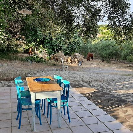 مبيت وإفطار SantʼAntìoco Sa Ruscitta المظهر الخارجي الصورة